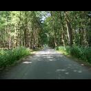 Auch heute fuhren wir wieder über wenig befahrene Straßen oder auf Radwegen